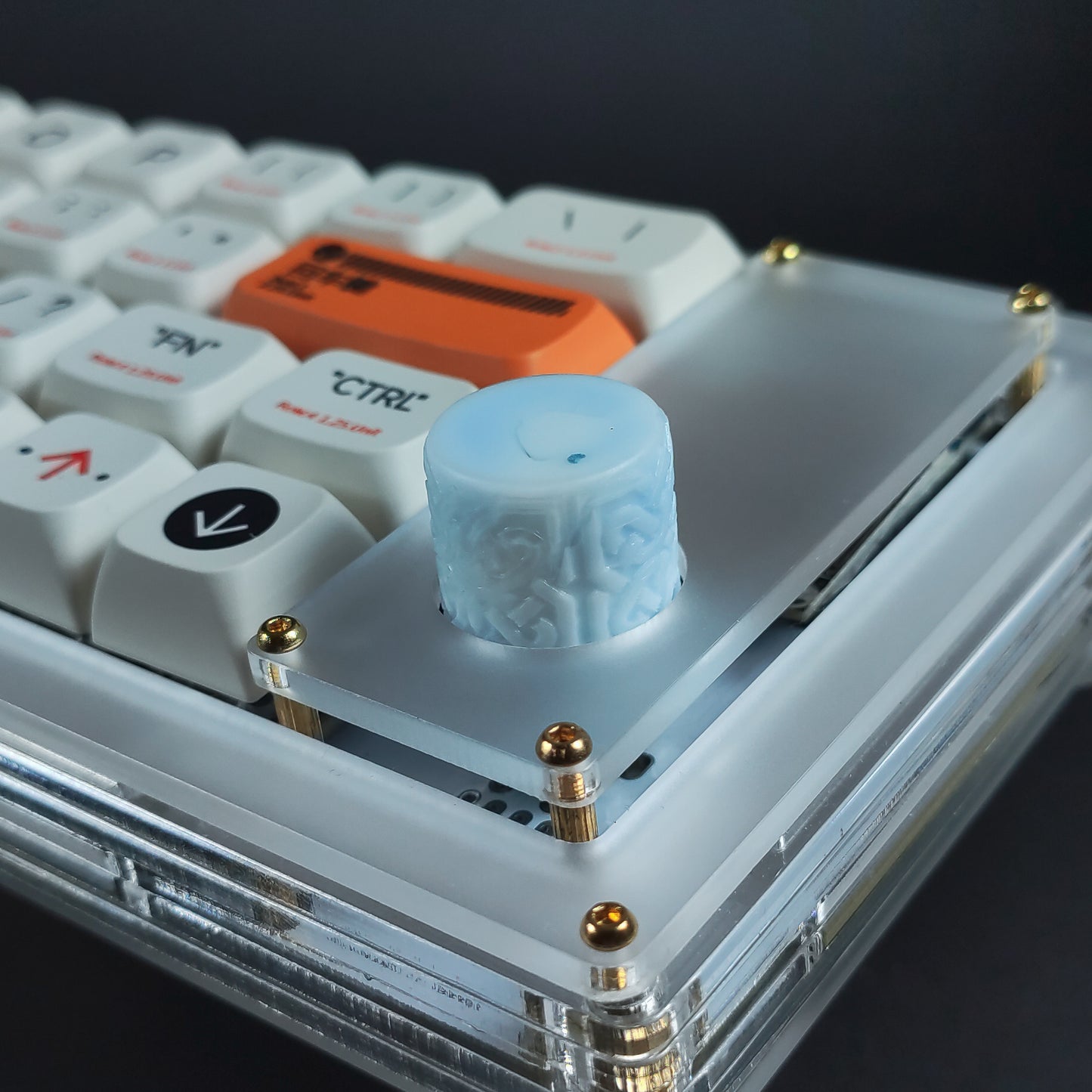 ノースノブ V2 ホワイト-ブルー