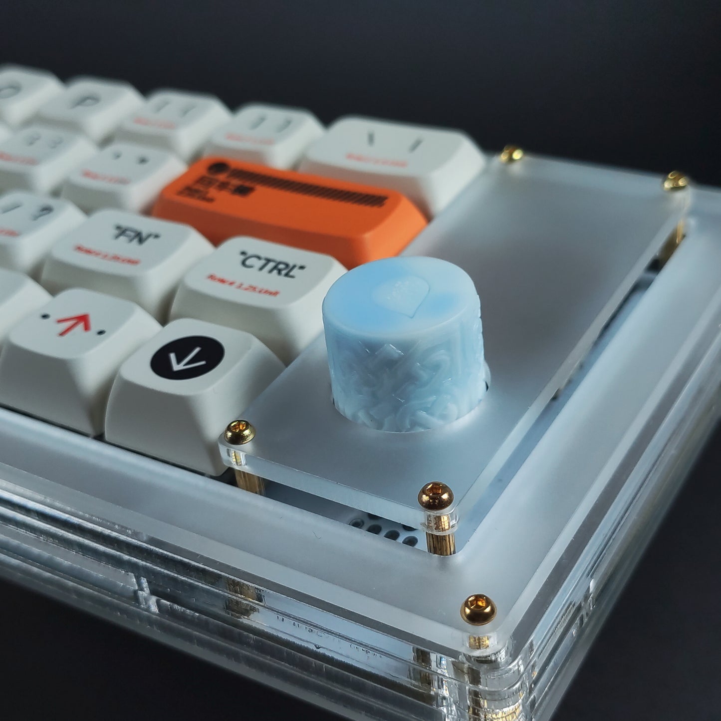 ノースノブ V2 ホワイト-ブルー