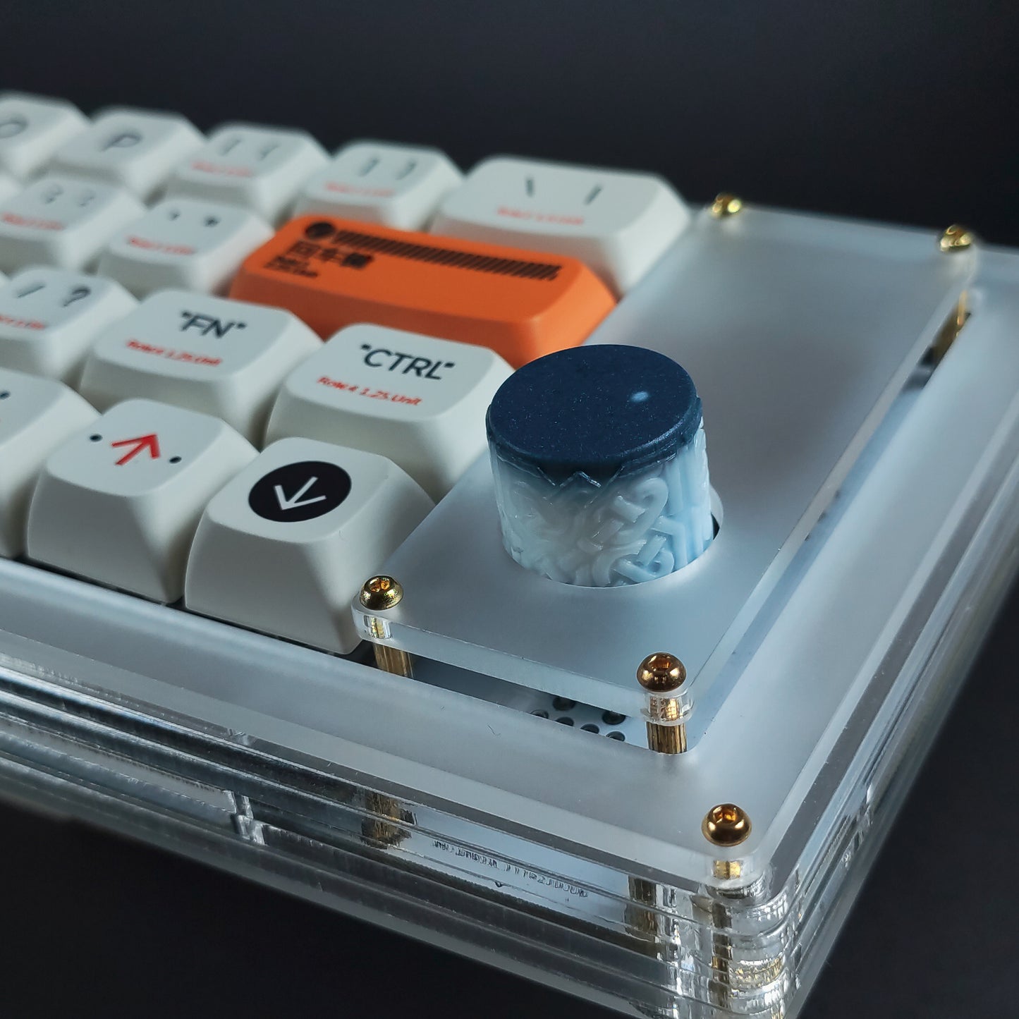 ノースノブ V2 ホワイト-ブルー
